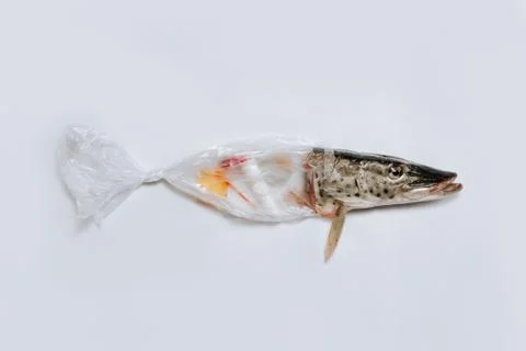 Plastic items with fish, pollution in the ocean. Environmental pollution Stock Photos