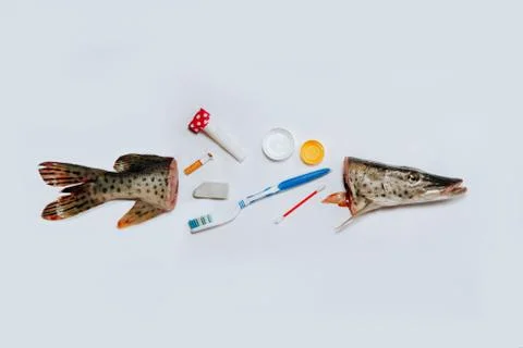 Plastic items with fish, pollution in the ocean. Environmental pollution Stock Photos