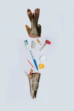 Plastic items with fish, pollution in the ocean. Environmental pollution Foto stock
