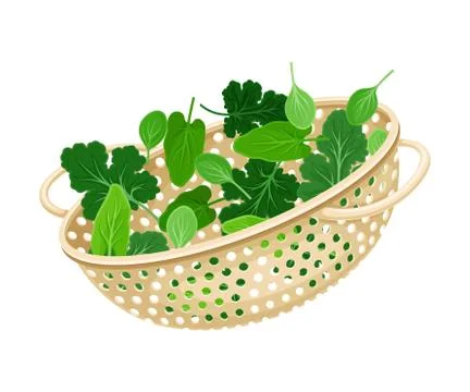Plastic Kitchen Colander or Strainer with Greenery Inside Vector Illustration イラスト素材