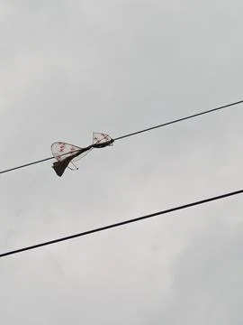 Plastic kite caught tangled on high voltage overhead power transmission. Stock Photos