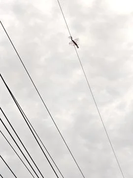 Plastic kite caught tangled on high voltage overhead power transmission. Stock Photos
