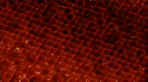 Plastic Life Tun188D9 Stock Footage 355539