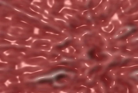 Plastic Life Tun245 Stock Footage 355538