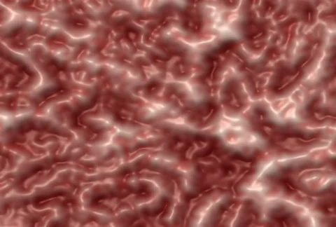 Plastic Life Tun249  Stock Footage 355521
