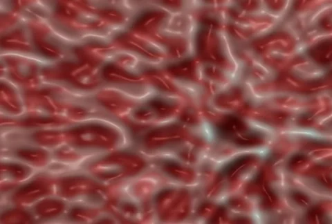 Plastic Life Tunl246 Stock Footage 355525