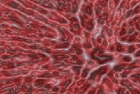 Plastic Life Tunl246D Stock Footage 355528