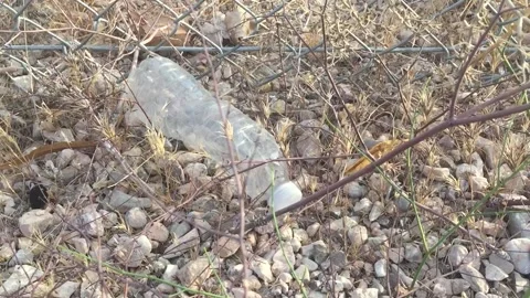 Plastic Litter and garbage in the desert Stock Footage 134906779