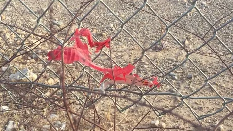 Plastic Litter and garbage in the desert Stock Footage 134907684