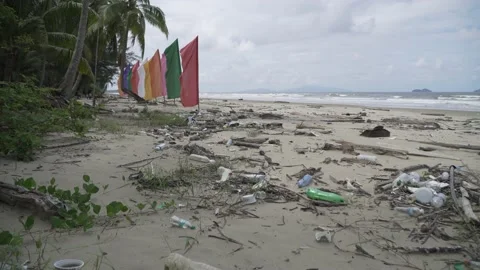 Plastic litter on beach Stock Footage 153374496
