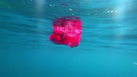 Plastic / Microplastics pollution in the ocean Stock Footage 101036081