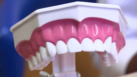 A plastic mock-up for studying the location of the teeth and the oral cavity. De Stock Footage 83624892