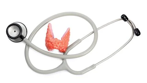 Plastic model of afflicted thyroid and stethoscope on white background, top v Stockfoto's