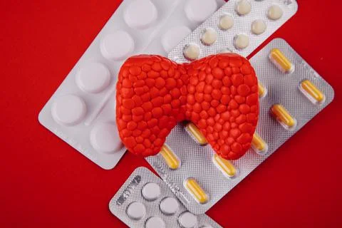 Plastic model of healthy thyroid and pills on red background close-up. Top view Stock Photos