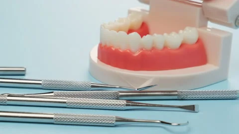 Plastic model of the jaw with white teeth and various dental instruments for the Stock Footage 147707285