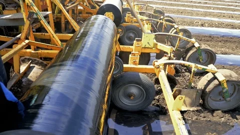 Plastic Mulch Bed Laying for Vegetable Production - Slow Motion Stock Footage 108408023