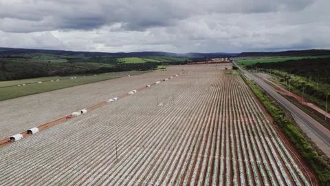 Plastic mulch vegetable farming with field logistics in Formosa Goiás Brazil Vidéo 332808230