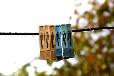 Plastic multi-colored old clothespins hanging on a thread with raindrops. Stock Photos