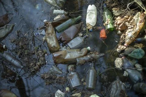 Plastic in nature. Garbage in park. Empty bottles in water. Stock Photos