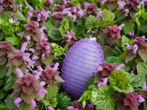 Plastic nylon Easter egg among wild orchids 写真素材