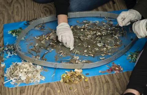 Plastic objects collected on beach Stock Photos