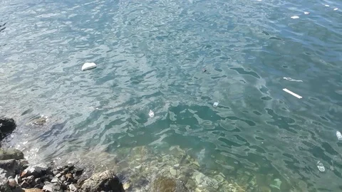 Plastic ocean Vídeo Stock 115689812
