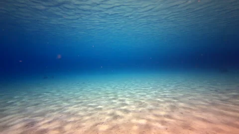 Plastic in the ocean Stock Footage 317187994