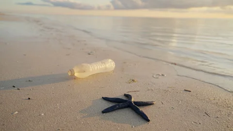Plastic in ocean, marine life microplastic water bottle pollution on beach Stock Footage 336489582