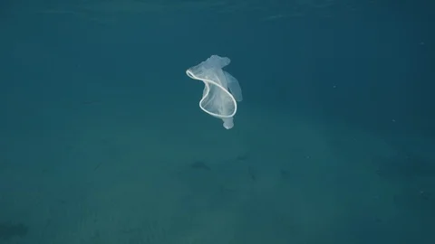 Plastic in the ocean, sea Stock Footage 90683227