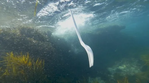 Plastic in the ocean, sea Video stock 102080175