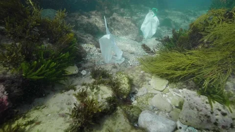 Plastic in the Ocean slow motion. Cinema High Quality footage. 4K Stock Footage 131209474
