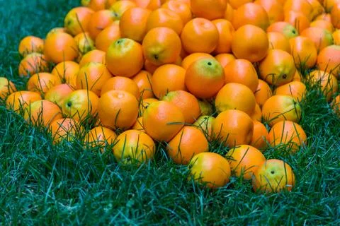 Plastic Oranges Foto stock