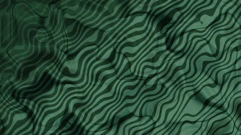 Plastic Overlay 72 Stock Footage 328414494