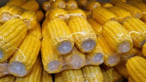 Plastic packaging of fresh sweet corn (Zea mays) kept for sale in a Supermarket. Stock Photos