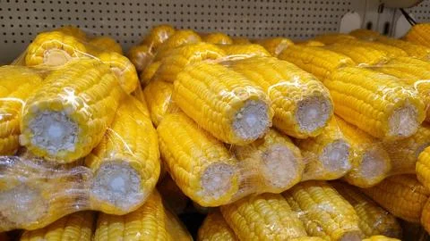 Plastic packaging of fresh sweet corn (Zea mays) kept for sale in a Supermarket. Stock-Fotos
