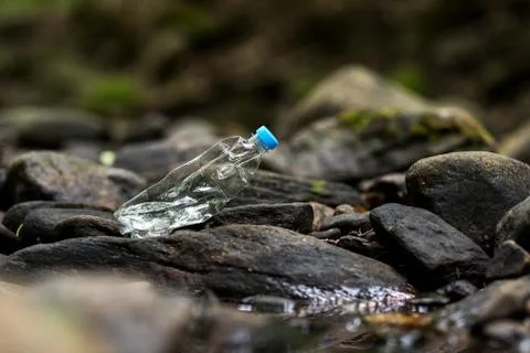Plastic PET bottle garbage in the stream bed Stock Photos