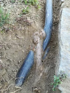 Plastic pipe damaged by roots Stock Photos