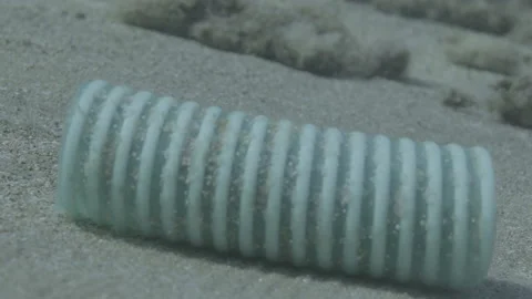 A plastic pipe drifting underwater Stock Footage 231411090