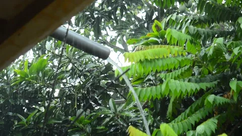 Plastic pipes that drain rainwater down Stock Footage 289921234
