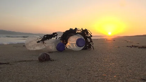 Plastic polluted beach Stock Footage 122494934