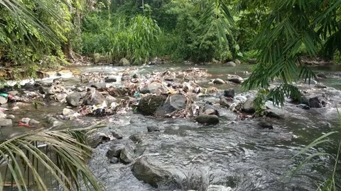 Plastic Polluted River Stock Footage 168572970