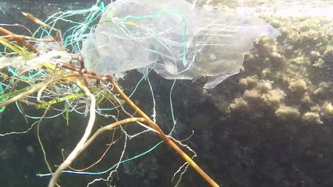 Plastic pollutes the sea Stock Footage 95287865