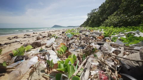 Plastic Pollution Accumulating On A Tropical Beach. Polluting Microplastics And Stock Footage 319062578