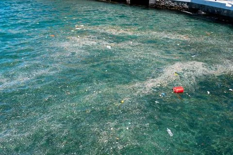 Plastic pollution and floating garbage scum in the sea water near a concret.. Stock Photos