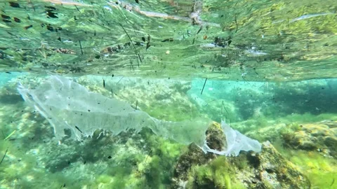 Plastic pollution and garbage floating in the sea filmed with underwater camera Stockbeeldmateriaal 343248118
