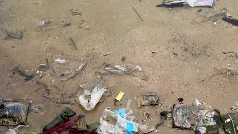 Plastic Pollution and Garbage Floating in Murky Coastal Water Stock Footage 345767526