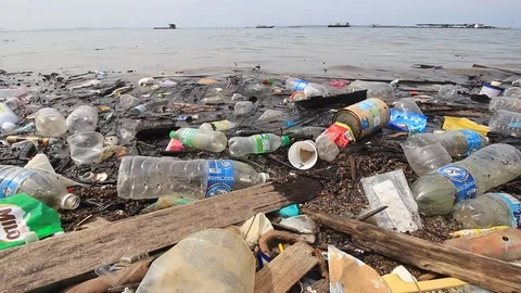 Plastic pollution on beach Stock Footage 90933839