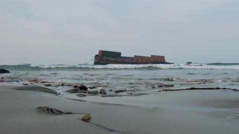 Plastic Pollution on Beach with Stranded Shipwreck Background Stock Footage 337776516