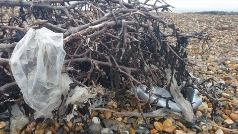 Plastic pollution caught in driftwood on a beach Stockbeeldmateriaal 119212160