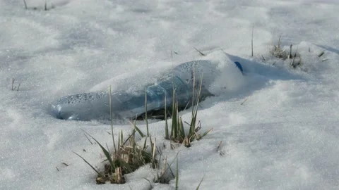 Plastic pollution, close-up of a plastic bottle is sticking out from under the s Stock Footage 148739004